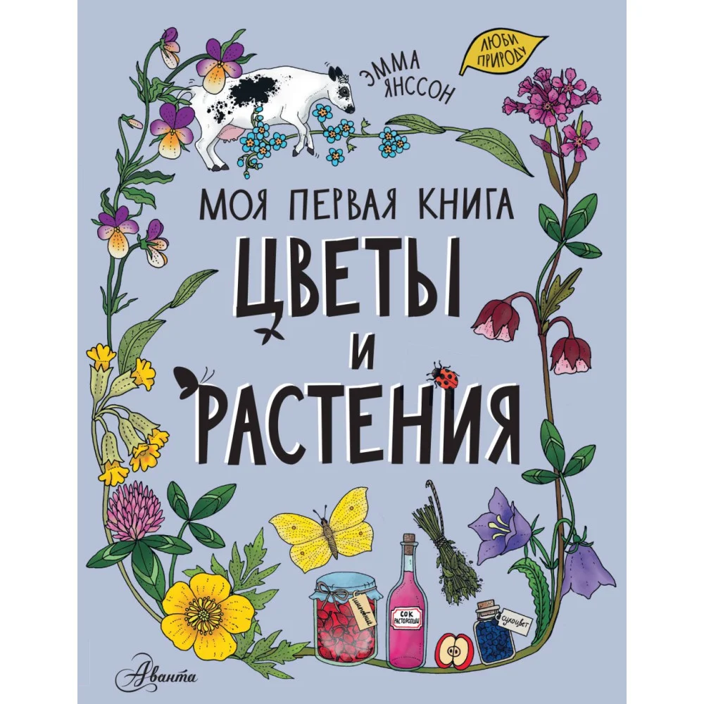 Цветы и растения Цветы и растения