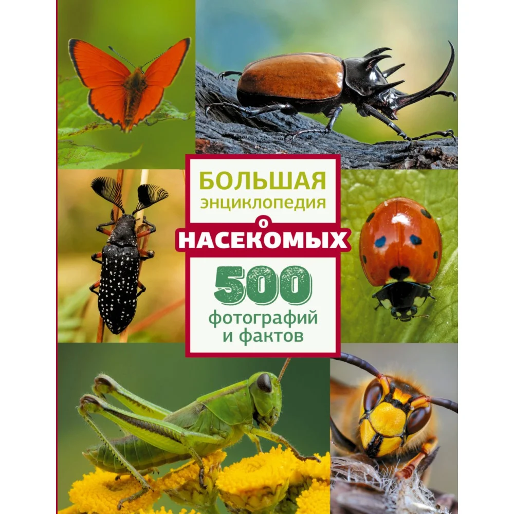 Большая энциклопедия о насекомых. 500 фотографий и фактов Большая энциклопедия о насекомых. 500 фотографий и фактов