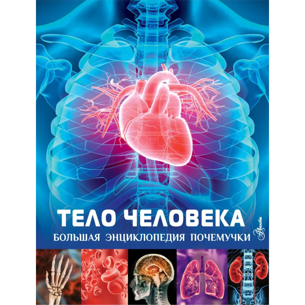 Тело человека Тело человека