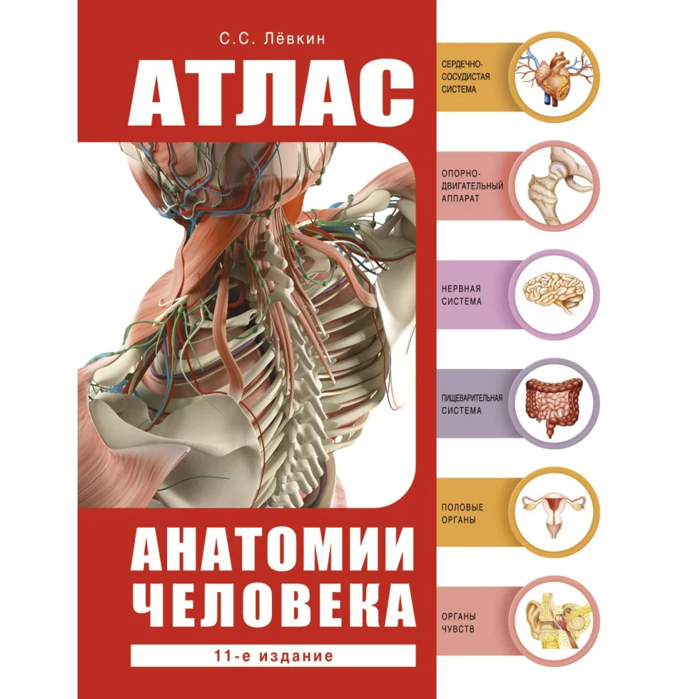 Атлас анатомии человека Атлас анатомии человека