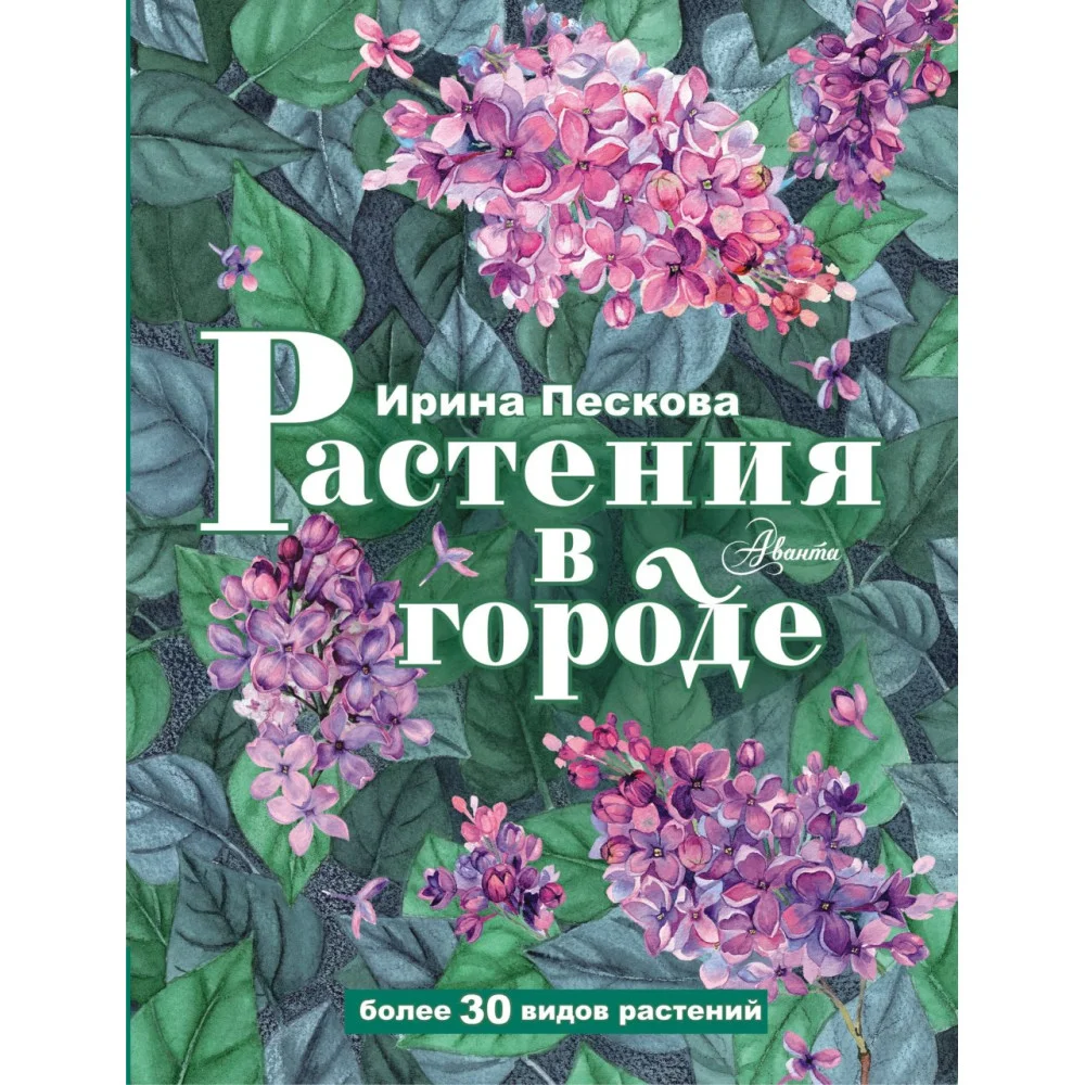 Растения в городе Растения в городе