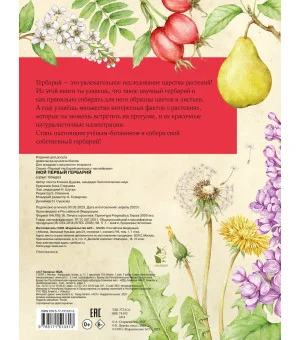 Мой первый гербарий