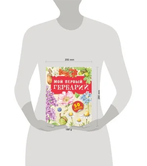 Мой первый гербарий
