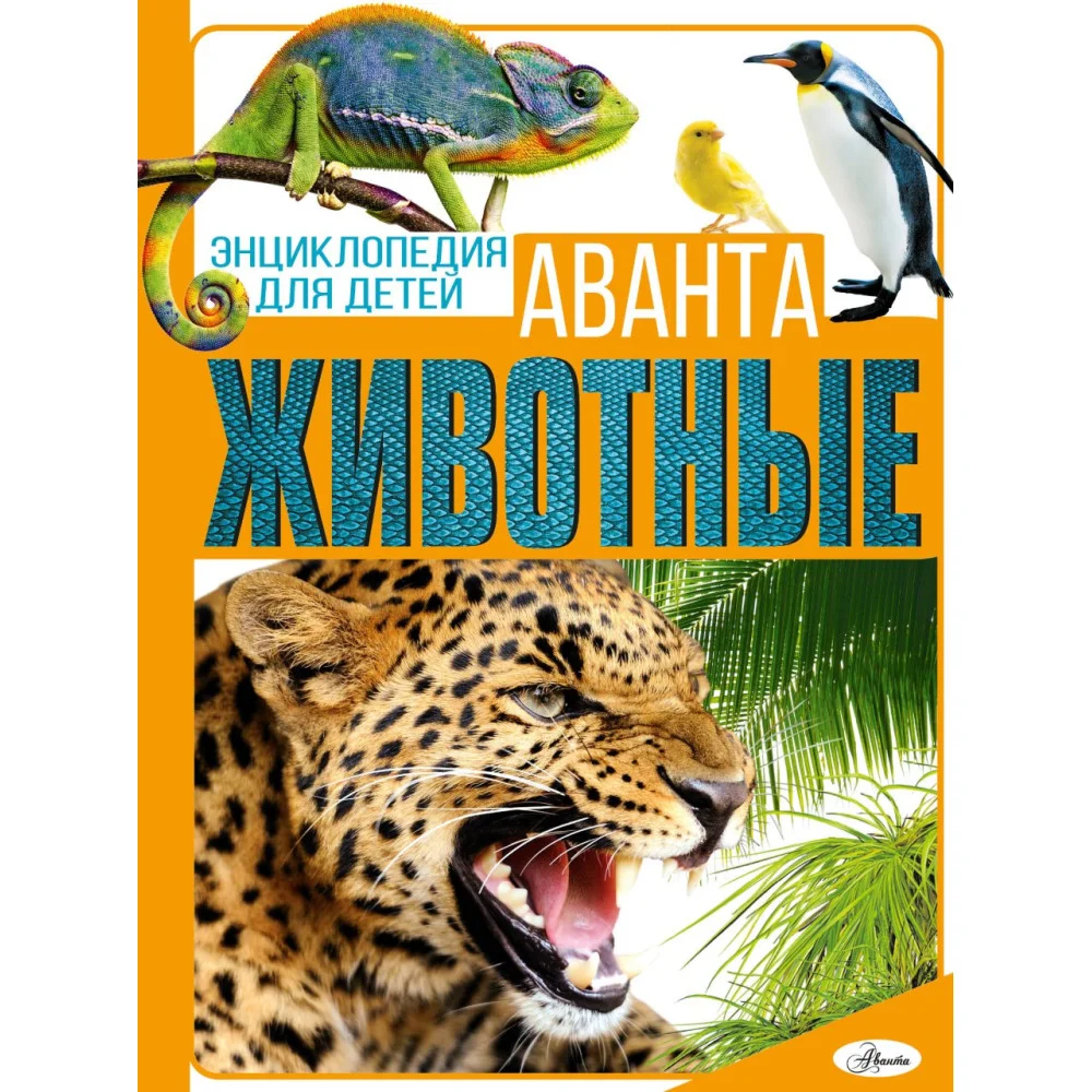 Животные Животные