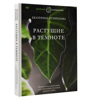Растущие в темноте. Комнатные растения для укромных уголков вашего дома