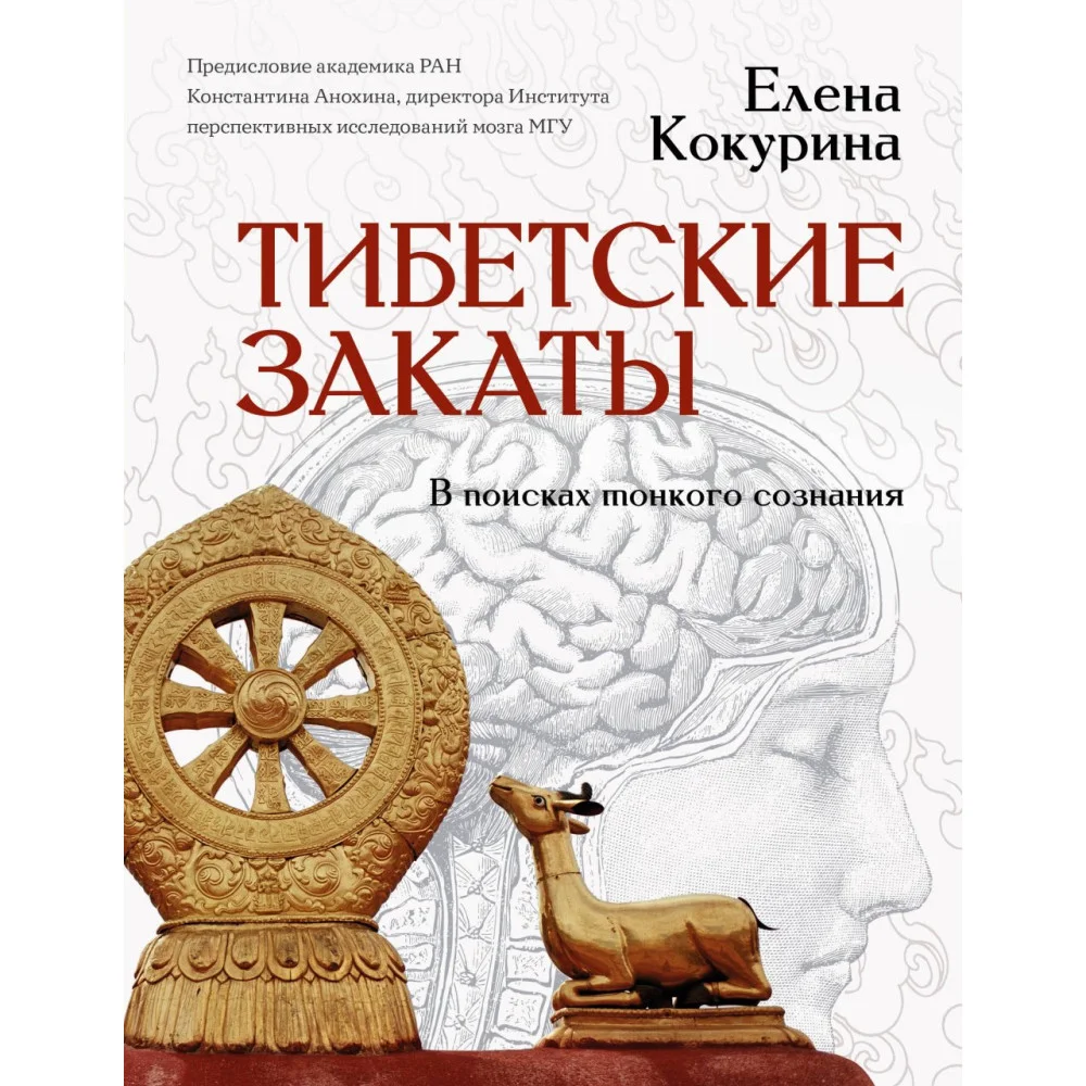 Тибетские закаты. В поисках тонкого сознания Тибетские закаты. В поисках тонкого сознания