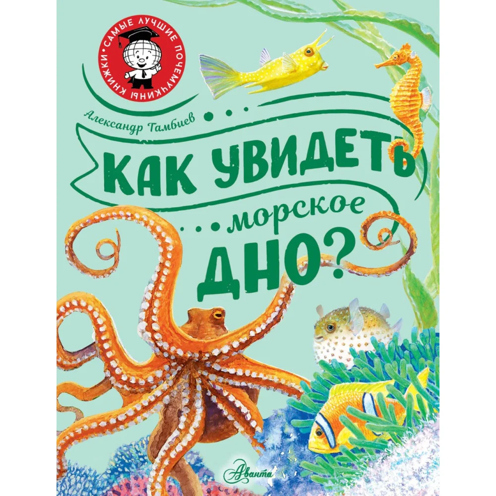 Как увидеть морское дно? Как увидеть морское дно?