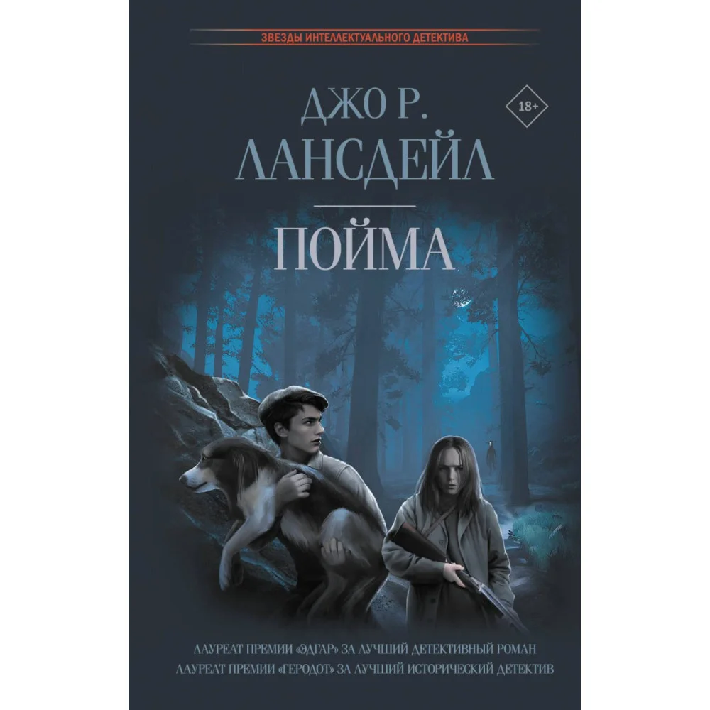 Пойма Пойма