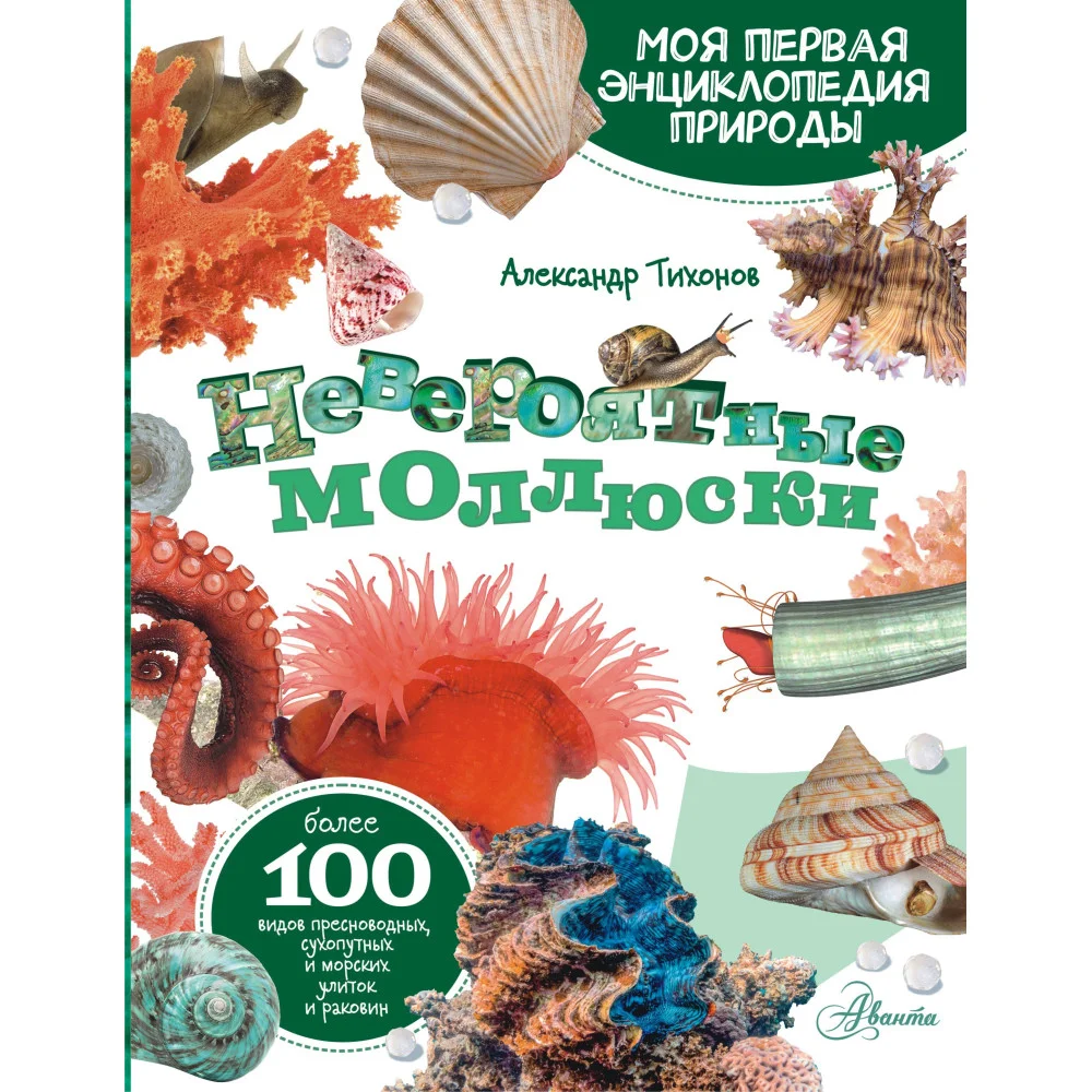 Невероятные моллюски