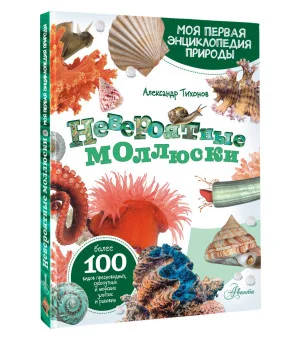 Невероятные моллюски