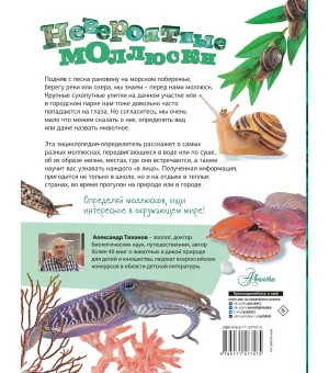 Невероятные моллюски