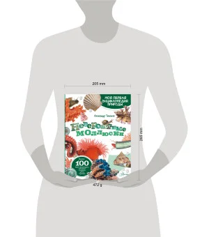 Невероятные моллюски