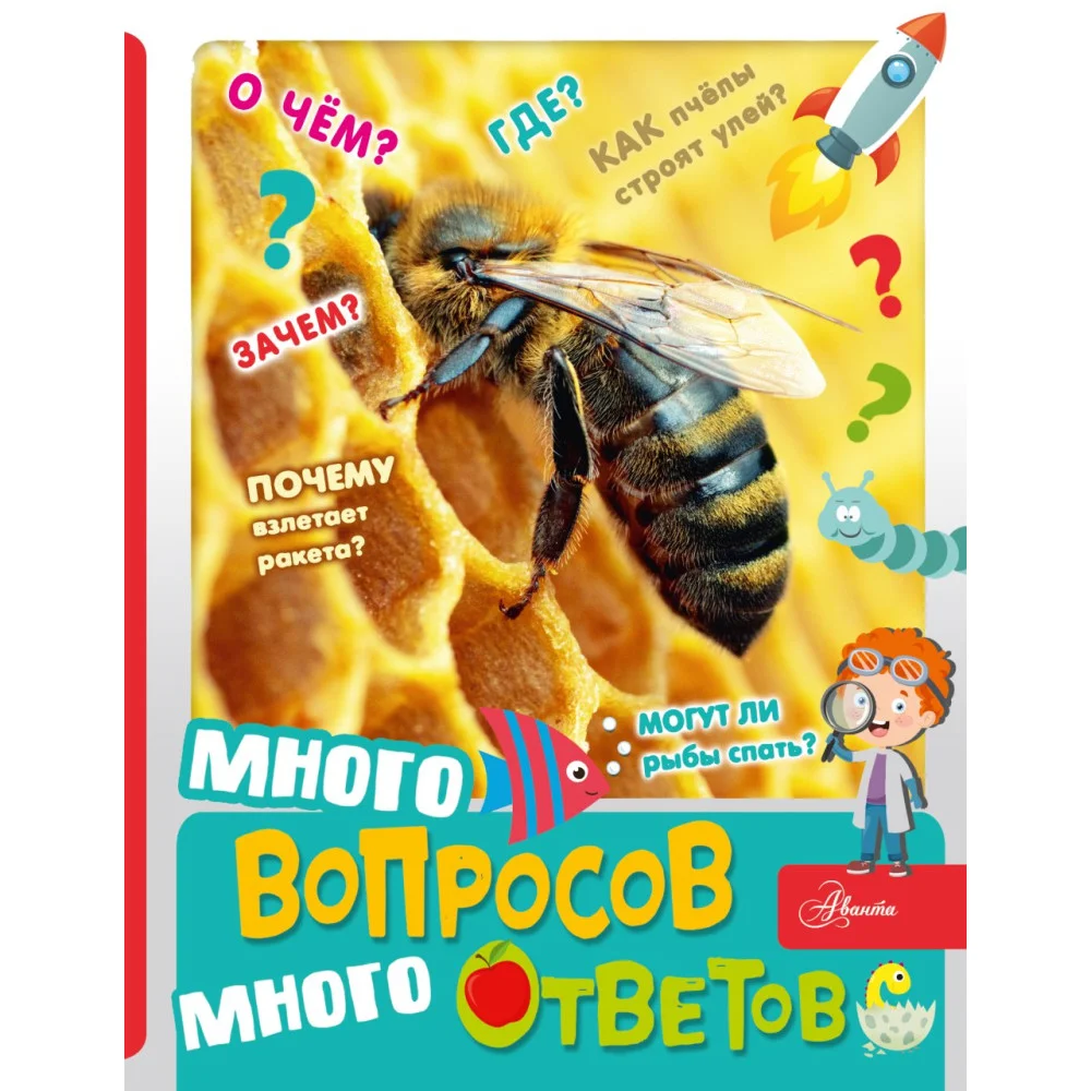 Много вопросов, много ответов Много вопросов, много ответов