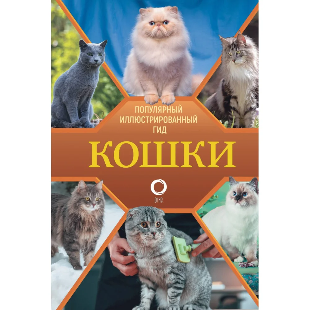 Кошки Кошки