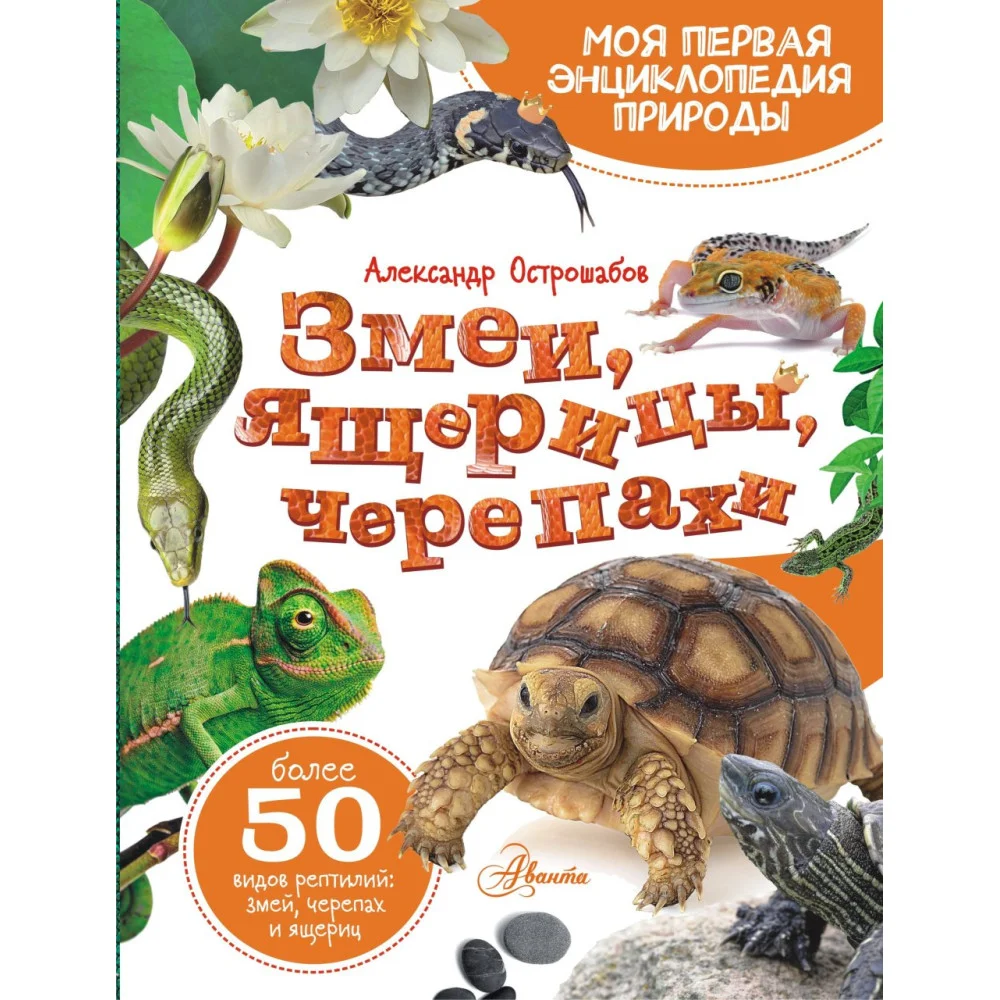 Змеи, ящерицы, черепахи Змеи, ящерицы, черепахи