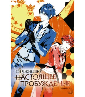 Настоящее пробуждение. Real Awakening. Книга 3