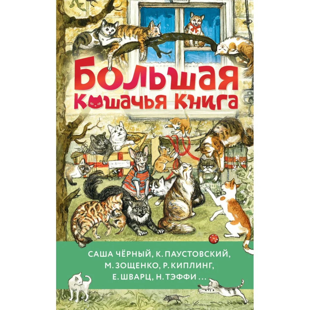 Большая кошачья книга Большая кошачья книга