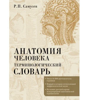 Анатомия человека.Терминологический словарь