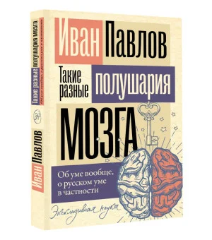 Такие разные полушария мозга. Об уме вообще, о русском уме в частности Такие разные полушария мозга. Об уме вообще, о русском уме в частности