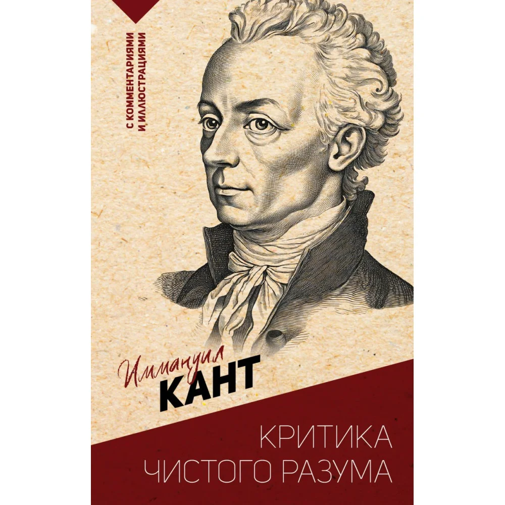Критика чистого разума. С комментариями и иллюстрациями Критика чистого разума. С комментариями и иллюстрациями