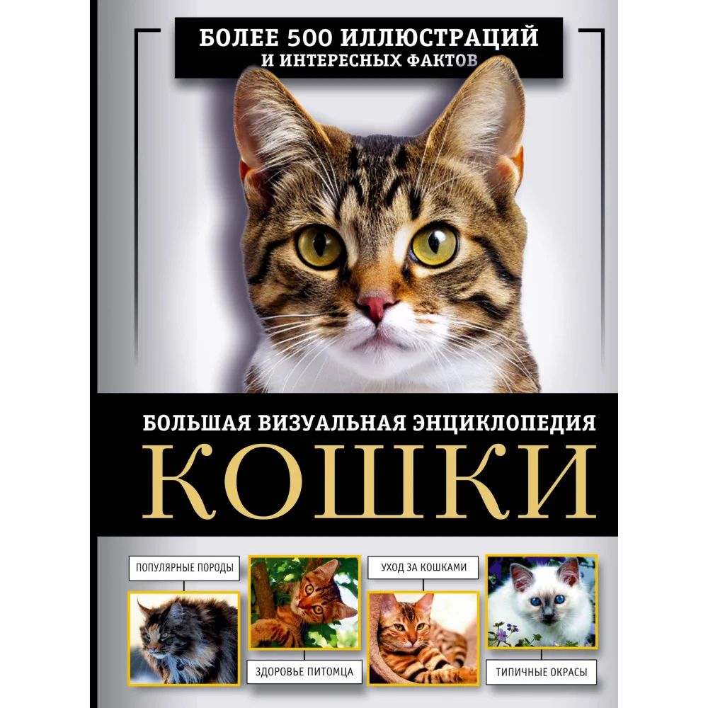 Кошки. Большая визуальная энциклопедия Кошки. Большая визуальная энциклопедия