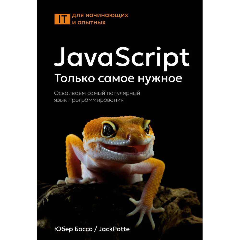 JavaScript, только самое нужное JavaScript, только самое нужное
