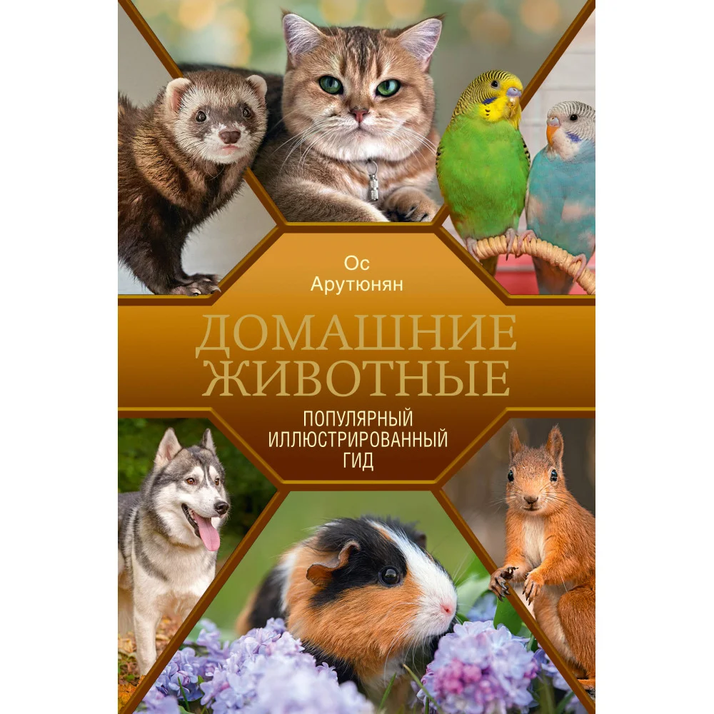 Домашние животные. Популярный иллюстрированный гид