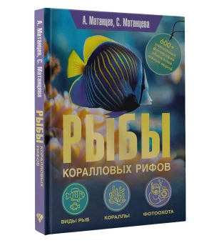 Рыбы коралловых рифов Рыбы коралловых рифов