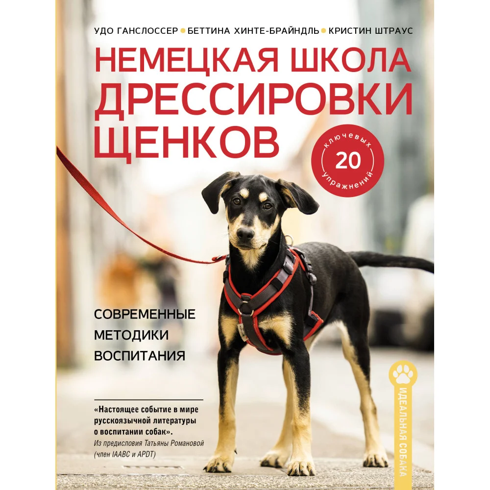 Немецкая школа дрессировки щенков. Современные методики воспитания