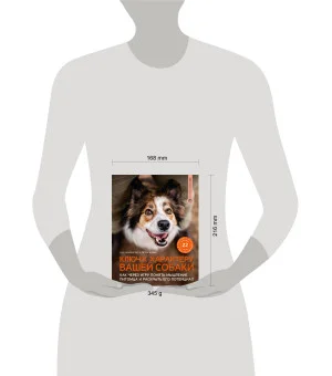 Ключ к характеру вашей собаки. Как через игру понять мышление питомца и раскрыть его потенциал