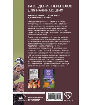 Разведение перепелов для начинающих. Руководство по содержанию в домашних условиях