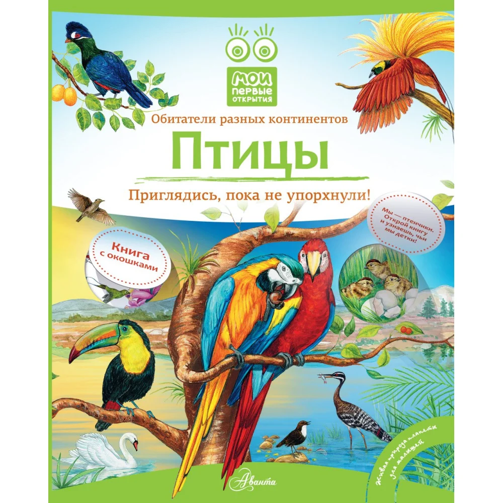 Птицы Птицы