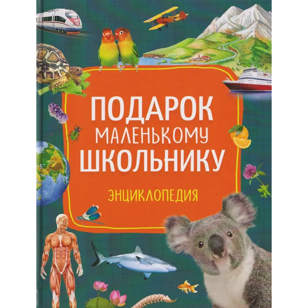 Подарок маленькому школьнику. Энциклопедия