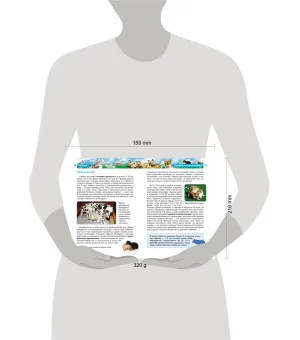 Собаки (ДЭР)