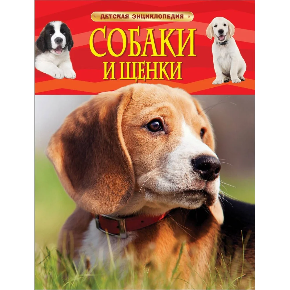 Собаки и щенки Собаки и щенки