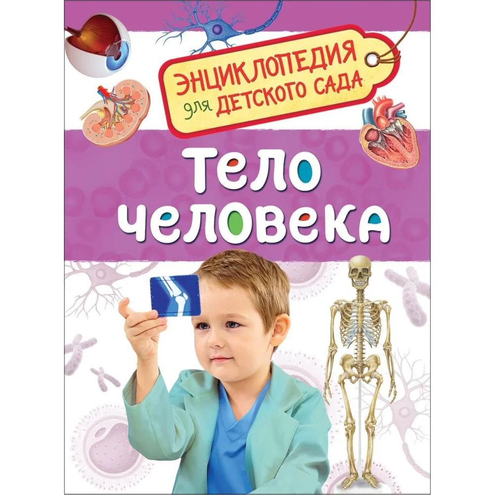 Тело человека (Энциклопедия для детского сада) Тело человека (Энциклопедия для детского сада)