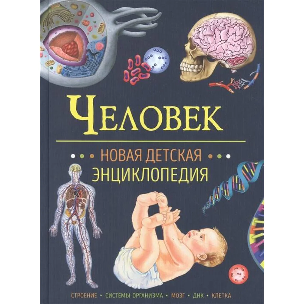 Человек. Новая детская энциклопедия Человек. Новая детская энциклопедия