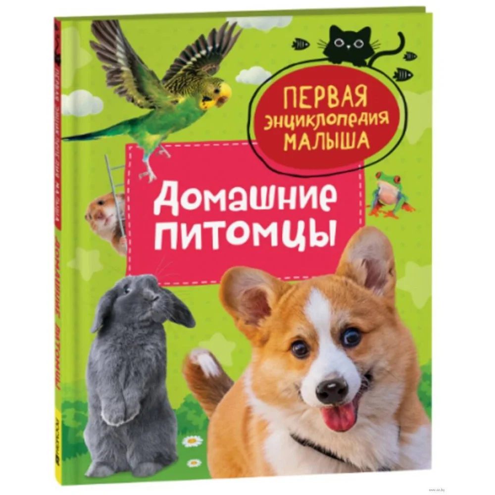 Домашние питомцы. Первая энциклопедия малыша Домашние питомцы. Первая энциклопедия малыша