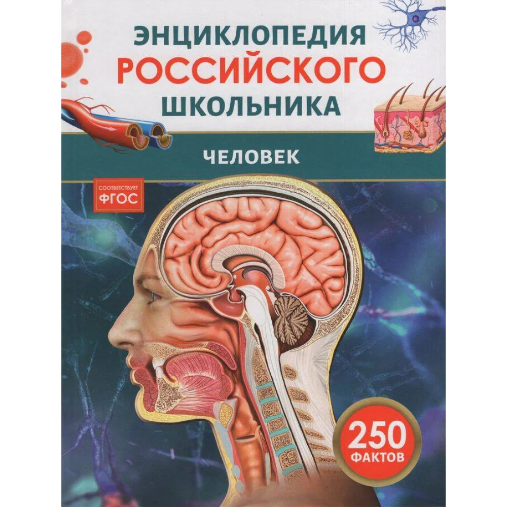 Человек. Энциклопедия российского школьника Человек. Энциклопедия российского школьника