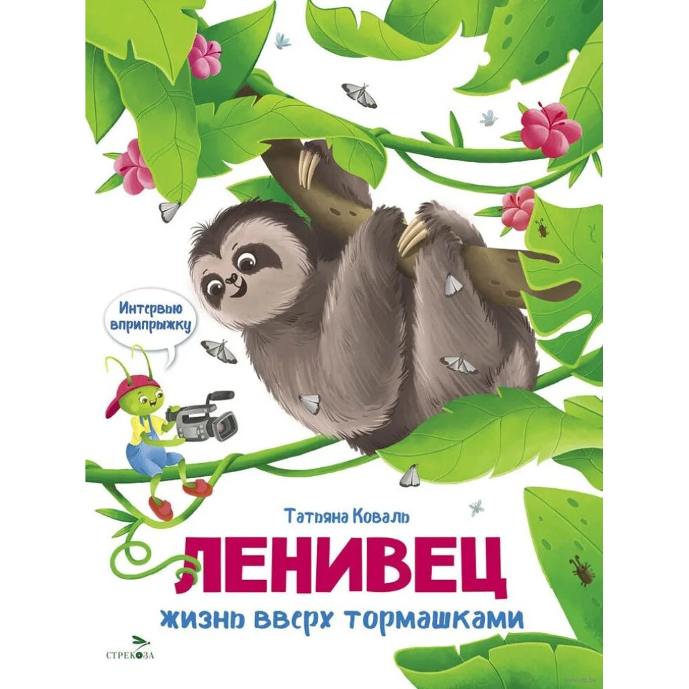 Интервью вприпрыжку. Ленивец