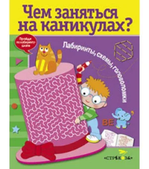 Чем заняться на каникулах? Лабиринты, схемы, головоломки. Вып.6