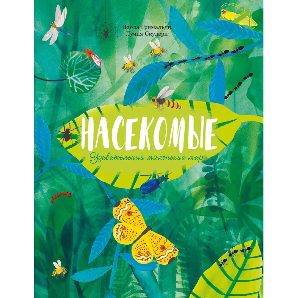 Насекомые. Удивительный маленький мир Насекомые. Удивительный маленький мир
