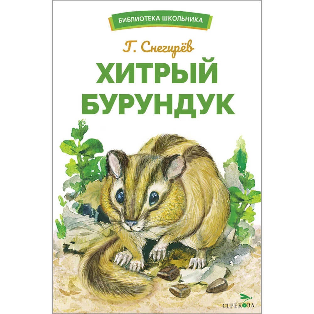 БШ. Хитрый бурундук БШ. Хитрый бурундук