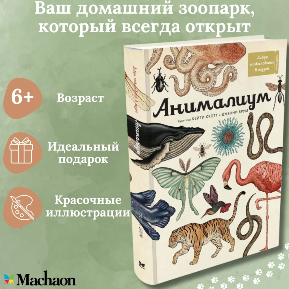 Анималиум Анималиум