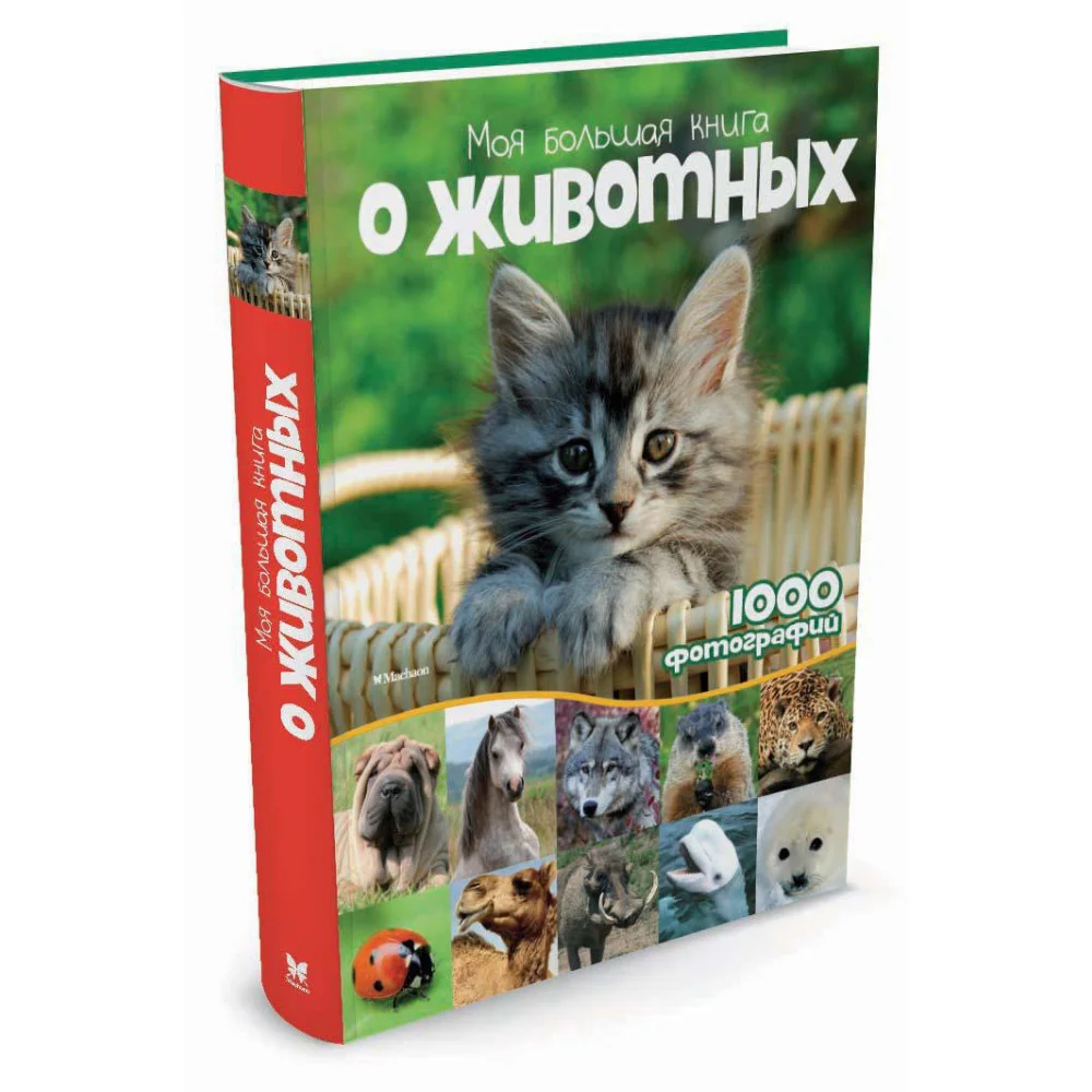 Моя большая книга о животных Моя большая книга о животных