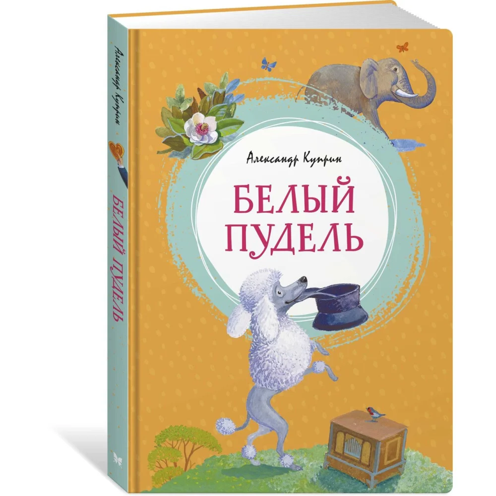 Белый пудель Белый пудель