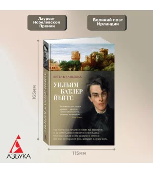 Ветер в камышах