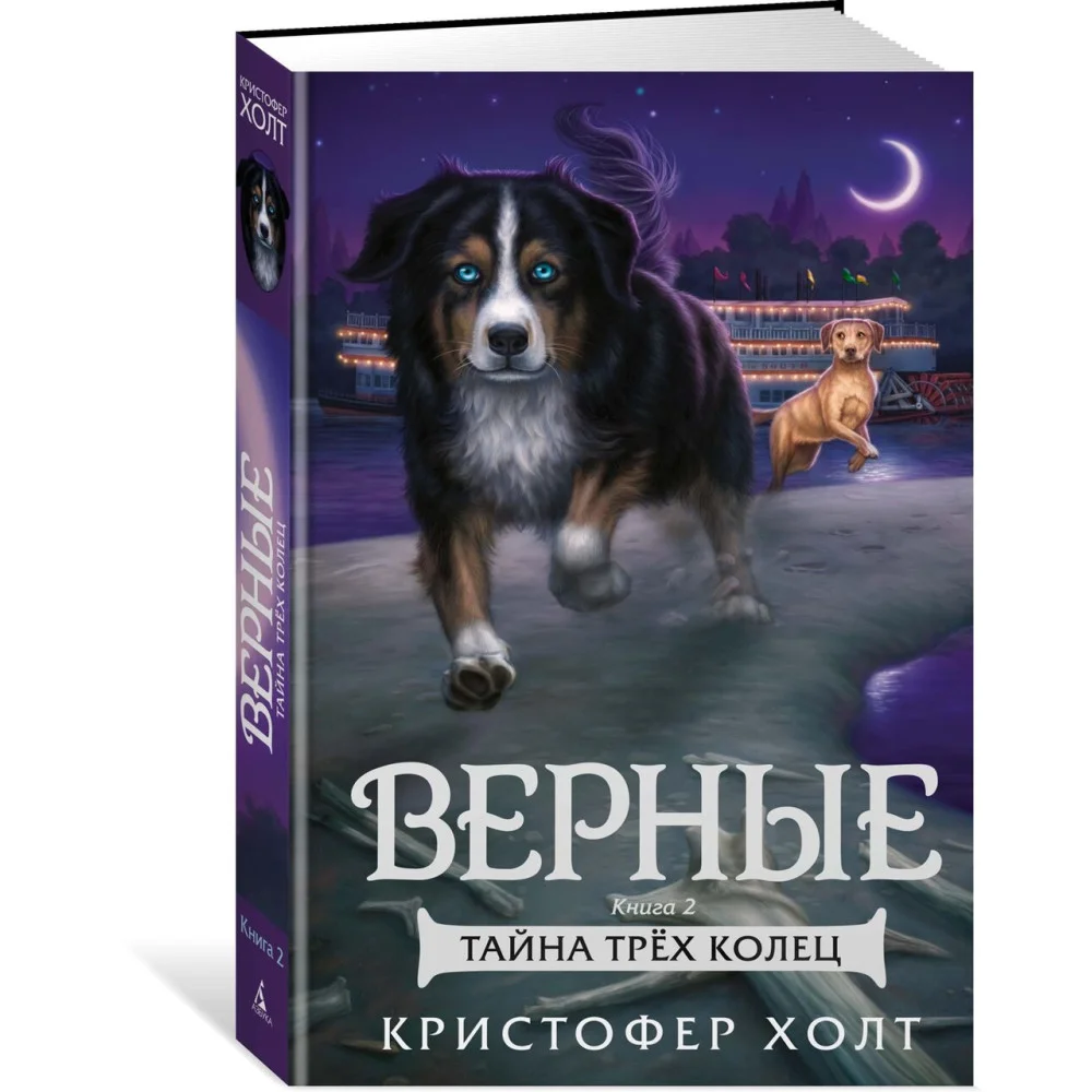 Верные. Книга 2. Тайна трёх колец Верные. Книга 2. Тайна трёх колец