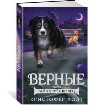 Верные. Книга 2. Тайна трёх колец