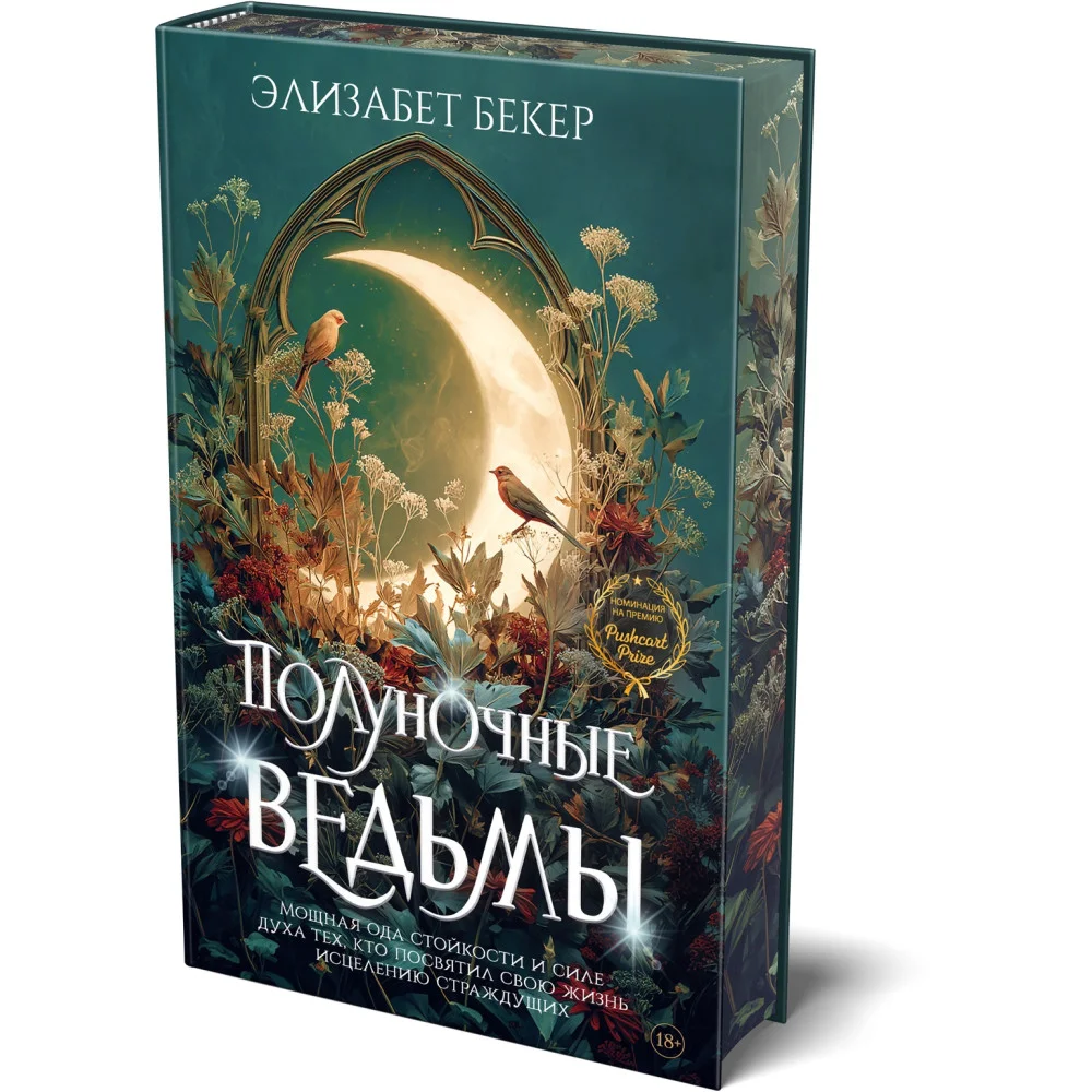 Полуночные ведьмы